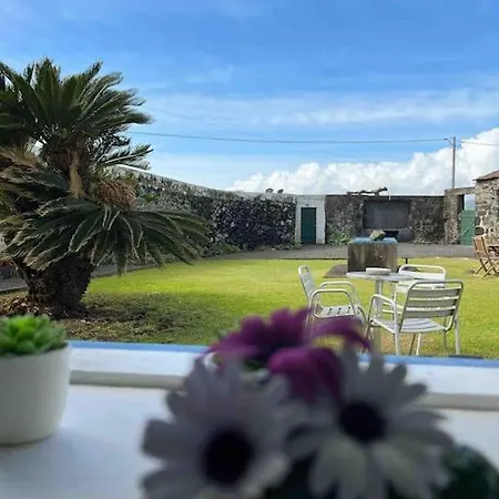 Casa Do Cacto - Flat *