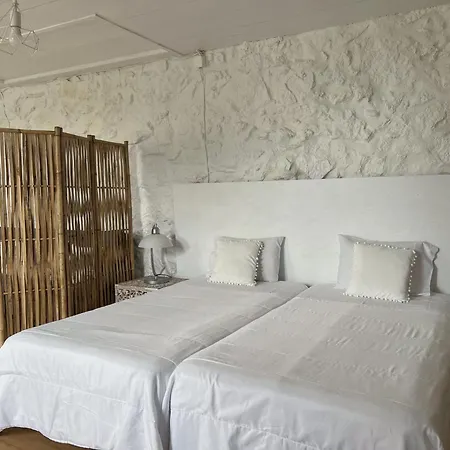 Casa Do Cacto - Flat Apartment